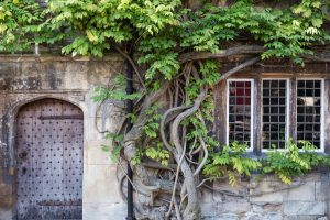 0039 - 2014 - Old Parsonage Hotel - Oxford - High Res - Wisteria Historic Building - Web Hero